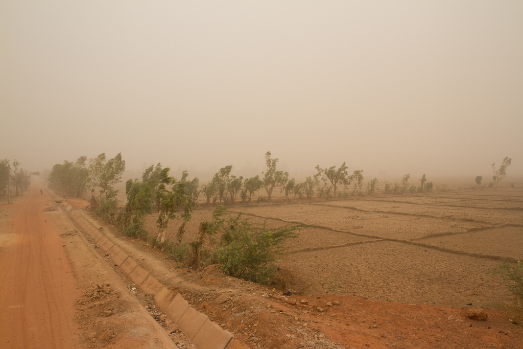 Dusty wind at the height of the dry season in Naimey, Niger. Francesco Fiondella/IRI