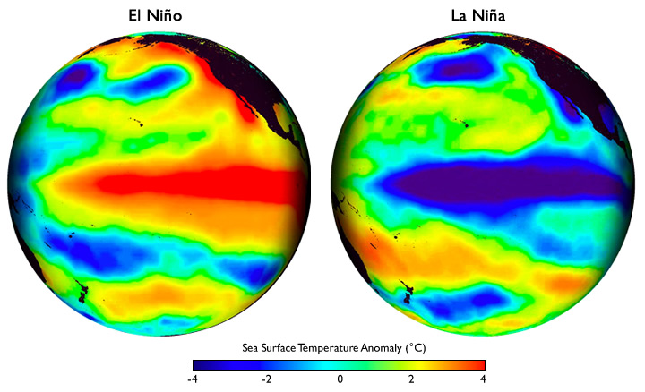 These global maps centered on the Pacific Ocean show patterns of sea surface temperature during El Niño and La Niña episodes. The colors along the equator show areas that are warmer or cooler than the long-term average. Image courtesy of Climate.gov
