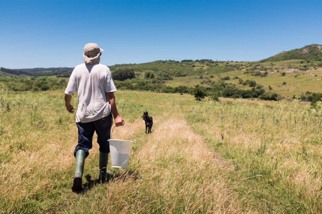 Daniel Lalinde on his farm in the Maldonado Department of southeastern Uruguay. Francesco Fiondella