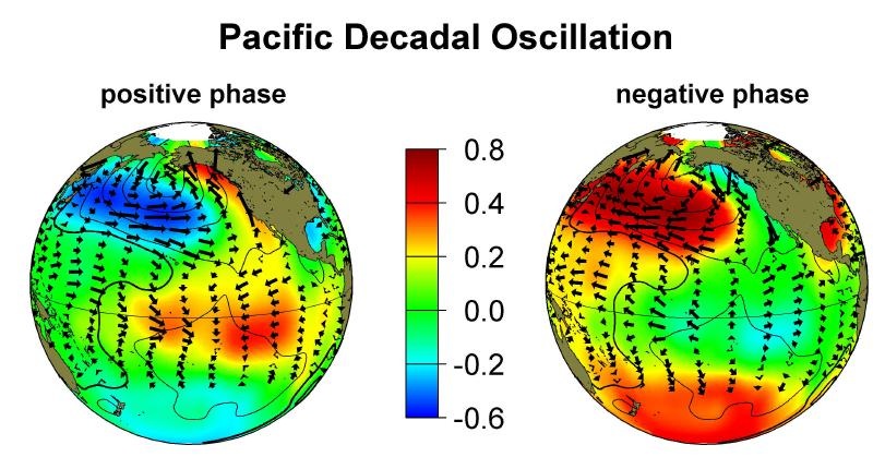 Figure 3: The two phases of PDO as exhibited by sea surface temperature patterns in the Pacific. Click image to enlarge. Source: source: http://research.jisao.washington.edu/pdo/graphics.html