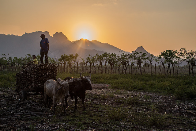 Farmers in Honduras. Photo: Elisabeth Gawthrop/IRI