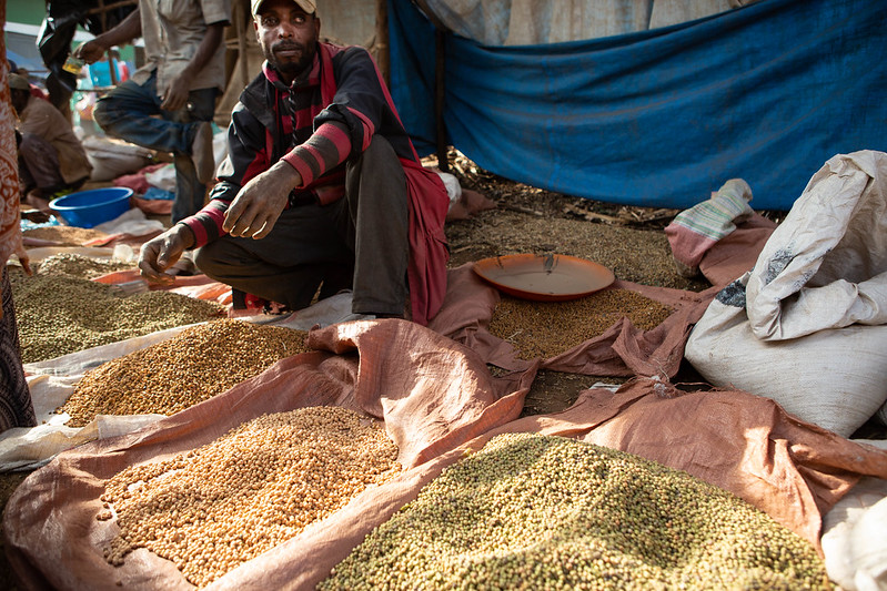 A photograph of an Ethiopian man selling different kinds of grains at a Saturday market in Hosaena, Ethiopia. The man wears a baseball cap and a red and black striped shirt. He crouches in front of four pink canvas sacks filled with different types of grain.