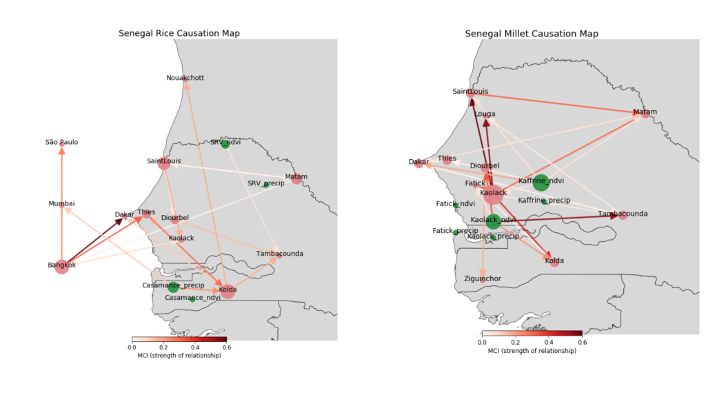 This image contains two grey maps of Senegal crisscrossed with red lines between cities. Some of the cities have red circles and others green circles. These causation maps demonstrate how food prices in different markets (red circles) influence one another in Senegal. Also shown is the influence of regional precipitation and vegetation condition (green circles) for (a) imported rice and (b) domestically grown millet. For example, Bangkok has the strongest links to rice prices in the markets of Dakar and Thies, which are both located near a major international port. Millet prices in Kaolack have a strong influence on most markets throughout Senegal. In terms of environmental variables, the vegetation state (as measured by the normalized difference vegetation index, NDVI) in the Kaolack region influences prices in Tambacounda and other markets outside the growing region.