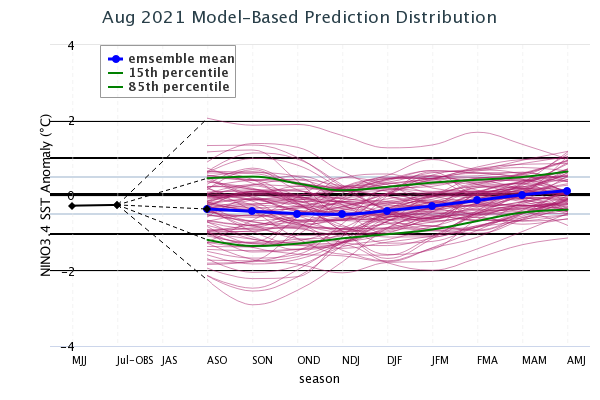 Model Based Prediction Distribution Image