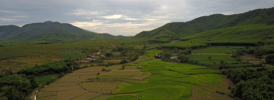 agricultural landscape in Vietnam