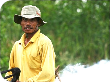 fiondella_indonesia