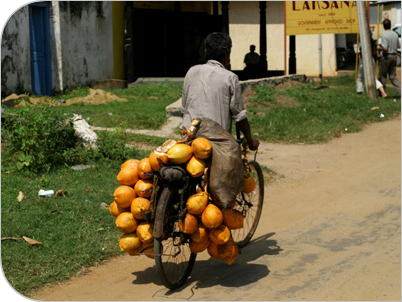 cocunts
