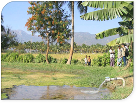 waterpond_big